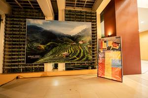 BIB: 2000
                            <button type="button" onclick="openModal(22791146)" class="btn btn-primary btn-sm float-right btn-popup" data-toggle="modal" data-target=".modal-high-quality">
                        <i class="fas fa-shopping-cart"></i> Add to Cart
                    </button>
                                            <button type="button" onclick="isThisMe(22791146, true)" class="btn btn-success btn-sm float-right btn-popup btn-isme hidden" data-toggle="tooltip" data-placement="bottom" title="นี่คือรูปของคุณใช่ไหม คลิกที่นี่เพื่อเอาเข้าอัลบั้ม">
                        <i class="fas fa-plus"></i> Add to album
                    </button>
                    <button type="button" onclick="isThisMe(22791146, false)" class="btn btn-warning btn-sm float-right btn-popup btn-isnotme hidden">
                        <i class="fas fa-ban"></i> Remove from album
                    </button>